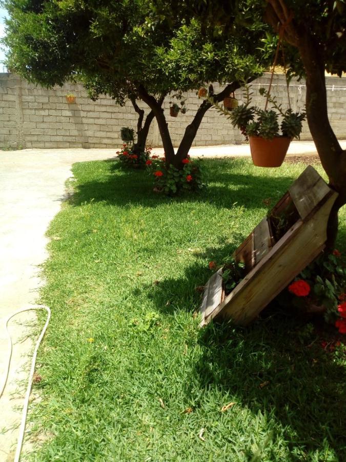 B&B Villa Del Sole Gizzeria Bagian luar foto